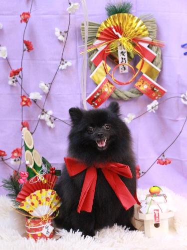 20230117ありすちゃん